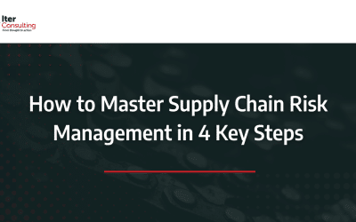 How to Master Supply Chain Risk Management in 4 Key Steps
